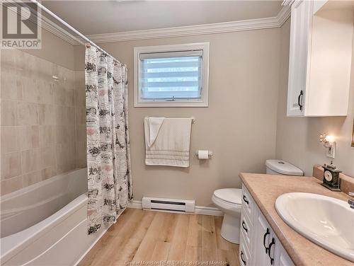 393 Theriault Rd, Bertrand, NB - Indoor Photo Showing Bathroom