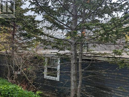 36 Halifax Street, St. John'S, NL - Outdoor With View