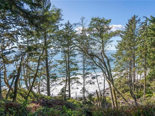 10901 West Coast Rd, Sooke, BC - Outdoor With View