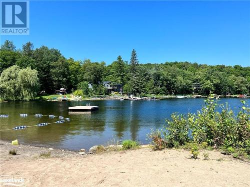 Beach & Playground - pack a picnic lunch and enjoy Eagle Lake waterfront without the waterfront taxes - 1019 Bushwolf Lake Road, West Guilford, ON 