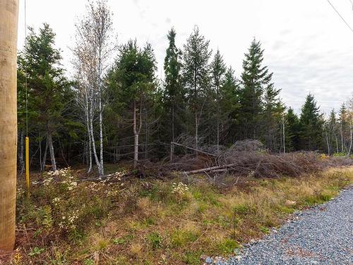 Lot 22-11 Back Country Lane, Wentworth, NS 
