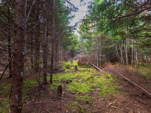 Lot 22-11 Back Country Lane, Wentworth, NS 