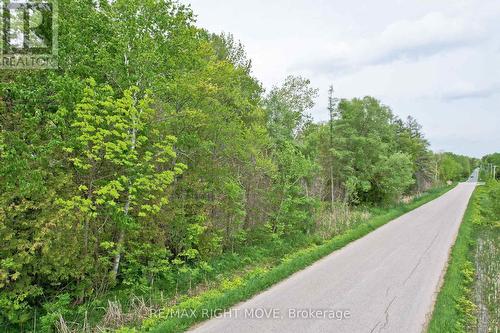 1382 Wilson Point Road, Severn, ON 