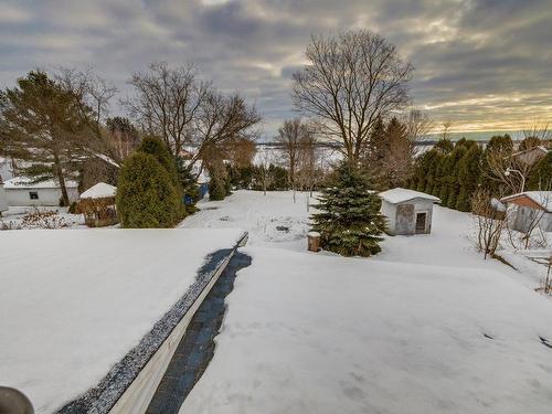 Backyard - 330 Rue Principale, Saint-Thuribe, QC - Outdoor With View