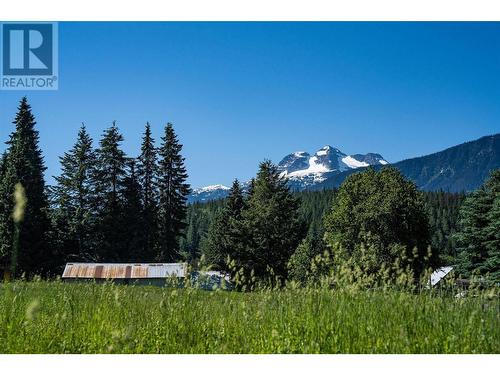 2258 Big Eddy Road, Revelstoke, BC - Outdoor With View