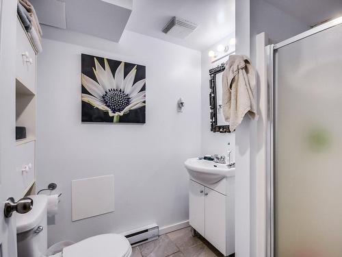 Salle de bains - 476 Rue Lucien-Gauthier, Gatineau (Buckingham), QC - Indoor Photo Showing Bathroom