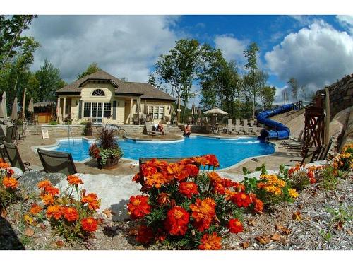 Pool - 10-225 Rue Du Mont-Plaisant, Mont-Tremblant, QC - Outdoor With In Ground Pool With Backyard