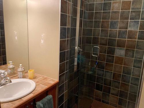 Bathroom - 10-225 Rue Du Mont-Plaisant, Mont-Tremblant, QC - Indoor Photo Showing Bathroom