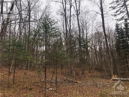 367 Concession 12B Lanark Road, Carleton Place, ON - Outdoor With View
