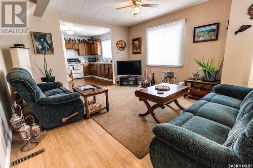 104 Drysdale Street, Rouleau, SK - Indoor Photo Showing Living Room