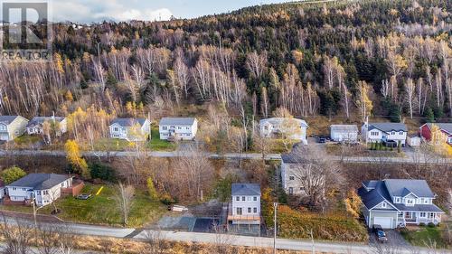 18 Cousens Place, St. John'S, NL - Outdoor With View