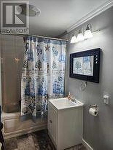 43 Monroes Pond, Monroes Pond, NL - Indoor Photo Showing Bathroom