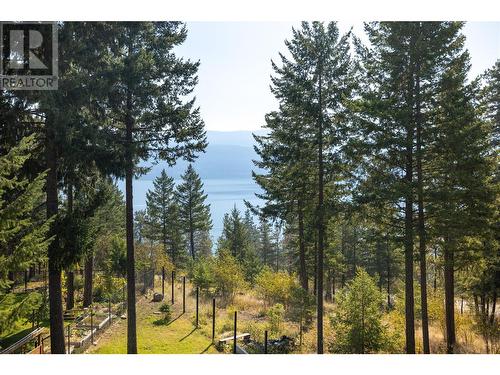 10231 Columbia Way, Vernon, BC - Outdoor With View