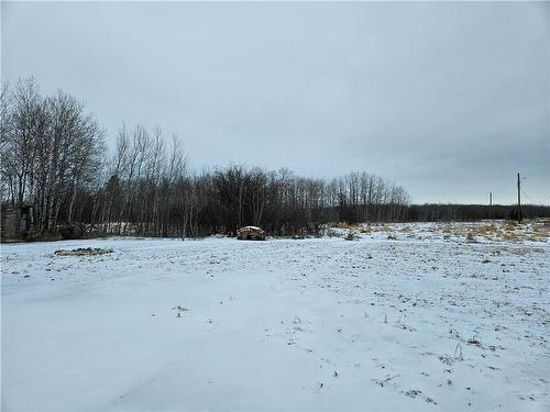 114094 Burma Road, Armstrong, MB - Outdoor With View