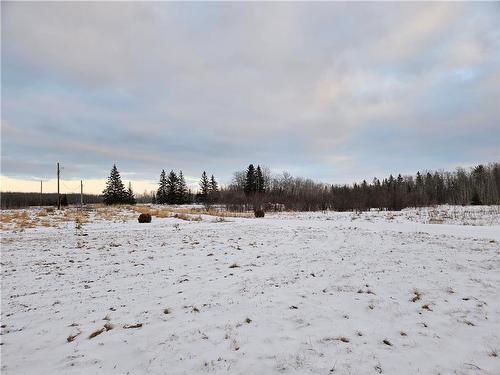 114094 Burma Road, Armstrong, MB - Outdoor With View
