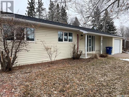 202 Brookdale Place, Wynyard, SK - Outdoor