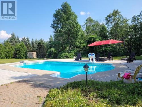74 Simcoe Road, King, ON - Outdoor With In Ground Pool With Backyard