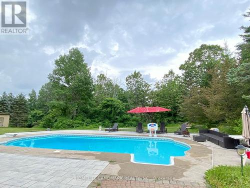 74 Simcoe Road, King, ON - Outdoor With In Ground Pool With Backyard