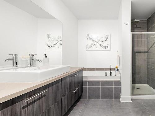 Salle de bains - 105-10100 Rue De L'Épervier, Mirabel, QC - Indoor Photo Showing Bathroom
