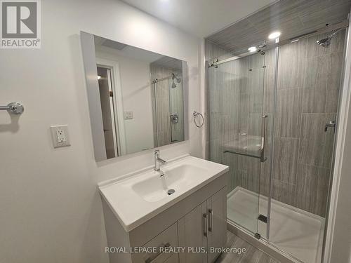 Lower - 73 Mohawk Road E, Hamilton, ON - Indoor Photo Showing Bathroom