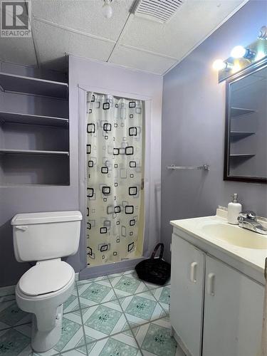 16 Centennial Street, Fortune, NL - Indoor Photo Showing Bathroom