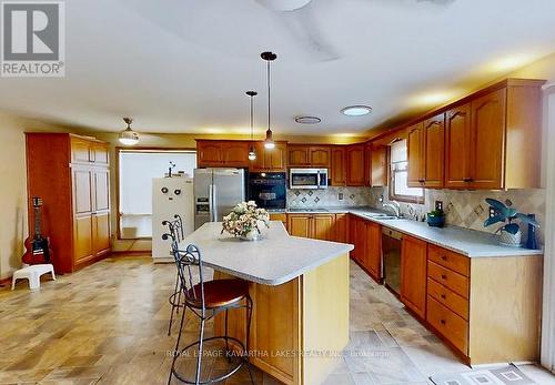 21 Trent View Rd, Kawartha Lakes, ON - Indoor Photo Showing Kitchen With Double Sink