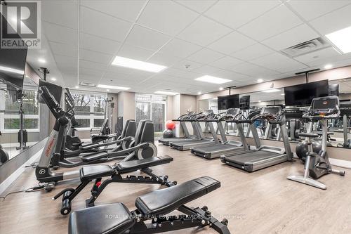 239 - 125 Shoreview Place, Hamilton, ON - Indoor Photo Showing Gym Room