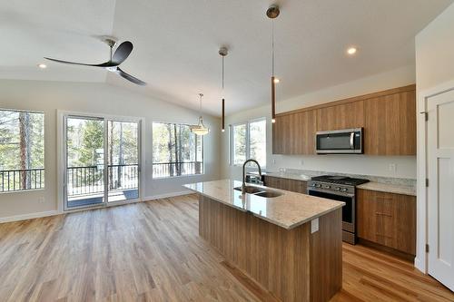Proposed 2 - 501 Forest Crowne Drive, Kimberley, BC - Indoor Photo Showing Kitchen With Double Sink