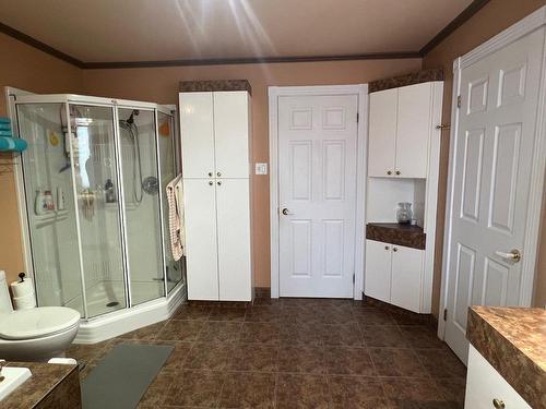 Bathroom - 1198 Route 167 S., Chibougamau, QC - Indoor Photo Showing Bathroom