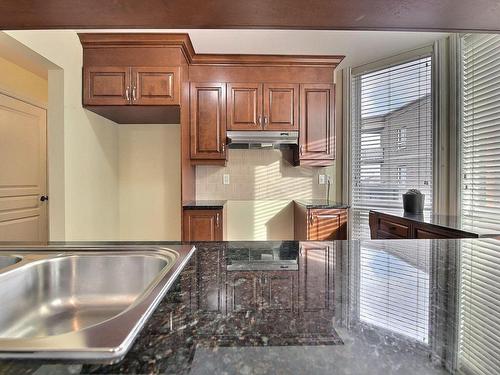 Cuisine - 702-6280 Rue Jarry E., Montréal (Saint-Léonard), QC - Indoor Photo Showing Kitchen With Double Sink