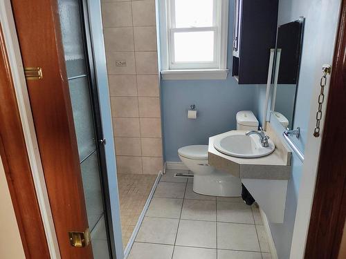 351 Empire Avenue, Thunder Bay, ON - Indoor Photo Showing Bathroom
