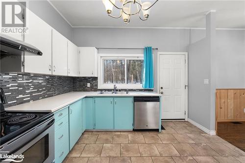 37 Mckay Street, Minden, ON - Indoor Photo Showing Kitchen With Double Sink