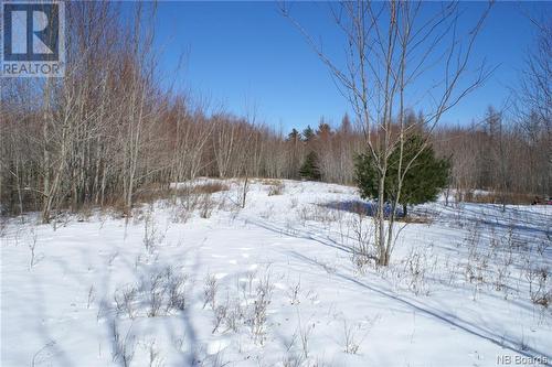 540 Scotchtown Road, Scotchtown, NB - Outdoor With View