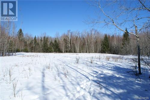 540 Scotchtown Road, Scotchtown, NB - Outdoor With View