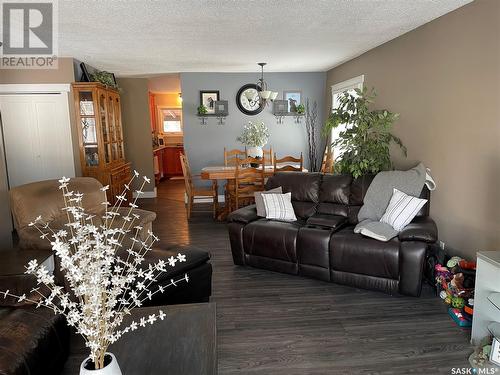 207 Dominion Road, Assiniboia, SK - Indoor Photo Showing Living Room