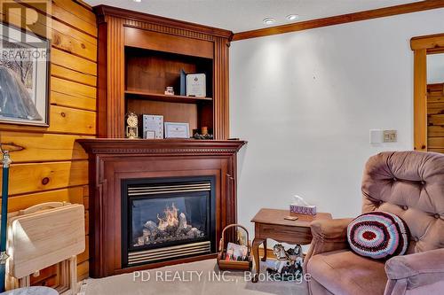 48 Sturgeon Glen Rd, Kawartha Lakes, ON - Indoor With Fireplace