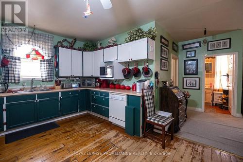 41 George Street E, Havelock-Belmont-Methuen, ON - Indoor Photo Showing Kitchen With Double Sink