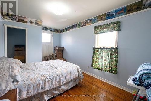 41 George Street E, Havelock-Belmont-Methuen, ON - Indoor Photo Showing Bedroom