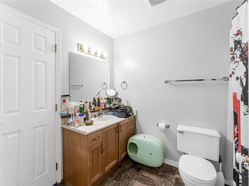 2-215 Madill Rd, Lake Cowichan, BC - Indoor Photo Showing Bathroom