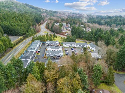 2-215 Madill Rd, Lake Cowichan, BC - Outdoor With View