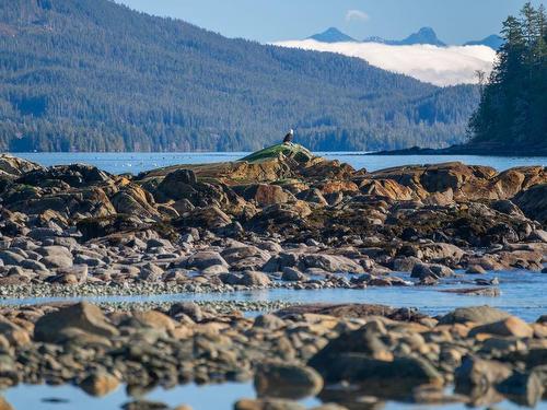 1049 Sixth Ave, Ucluelet, BC - Outdoor With Body Of Water With View