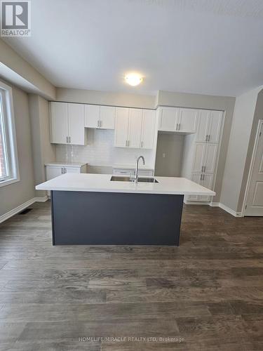 133 Aquasanta Crescent, Hamilton, ON - Indoor Photo Showing Kitchen With Double Sink