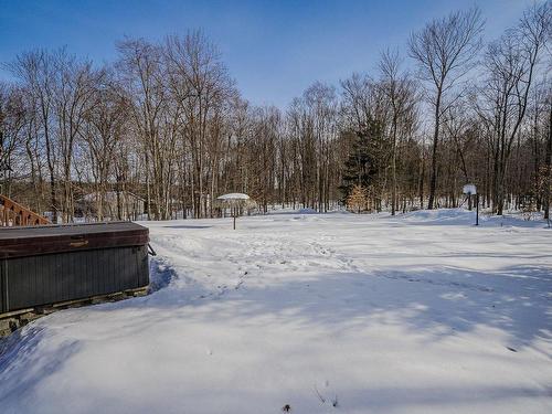 Backyard - 1136 Ch. Du Lac-Connelly, Saint-Hippolyte, QC - Outdoor With View