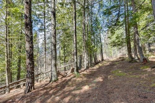 14448 Highway 3A, Gray Creek, BC 