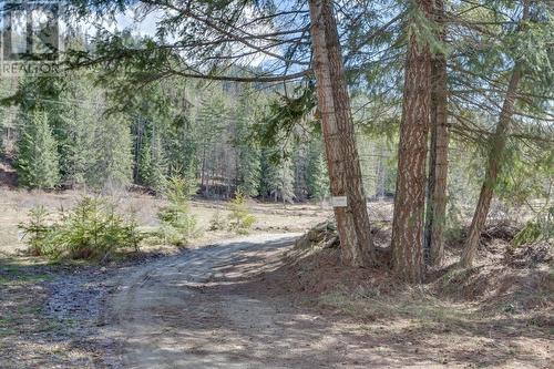 14448 3A Highway, Gray Creek, BC 