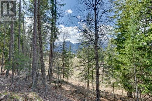 14448 3A Highway, Gray Creek, BC 