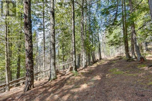 14448 3A Highway, Gray Creek, BC 