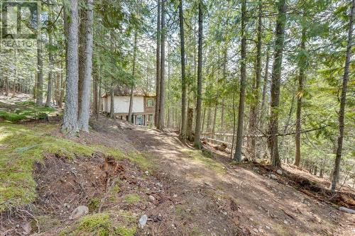 14448 3A Highway, Gray Creek, BC 