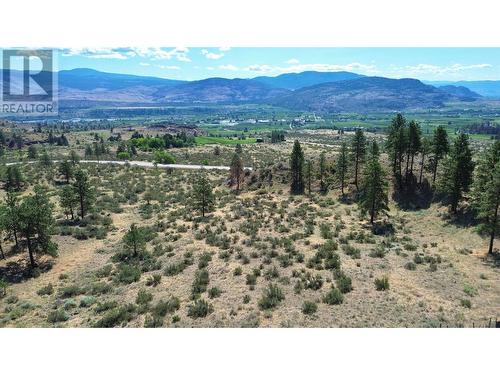 163 Willowbrook Road, Oliver, BC - Outdoor With View