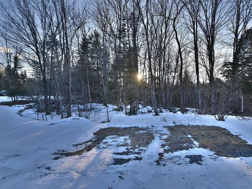 Wooded area - 1930 Ch. Godin, Sherbrooke (Brompton/Rock Forest/Saint-Élie/Deauville), QC - Outdoor With View